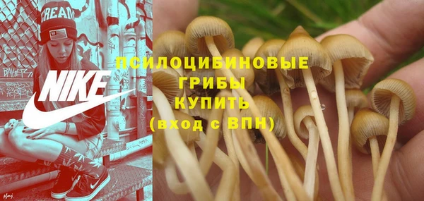 марки lsd Алексеевка