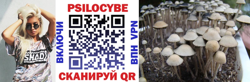 сайты даркнета официальный сайт  Новая Ляля  Псилоцибиновые грибы мухоморы  как найти  